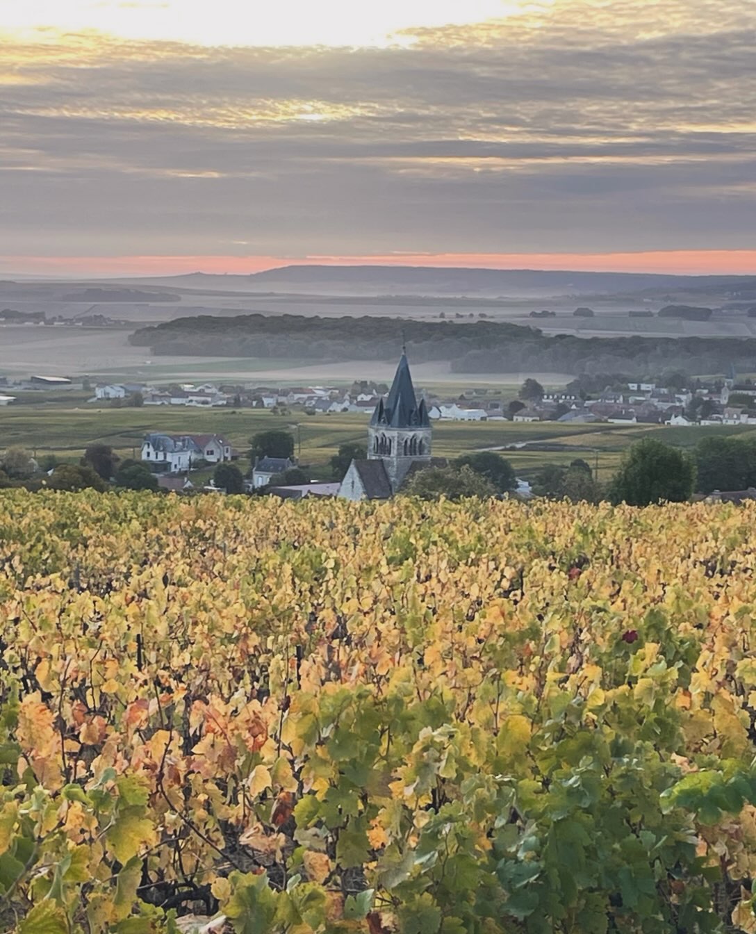 Le Mont St Lié, un matin d’automne #champagnelaurentcharlier #laurentcharlier #villedommange #montstlié